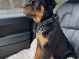 max 2022 2